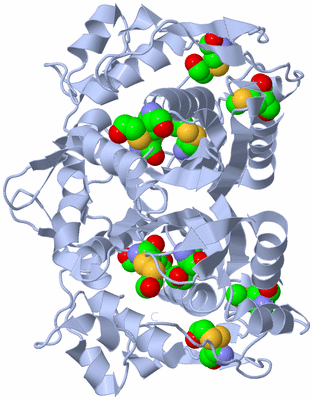 Image Biological Unit 1