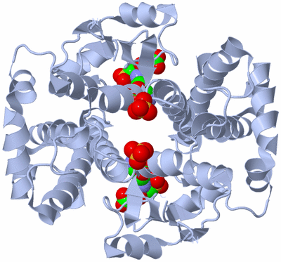 Image Biological Unit 1