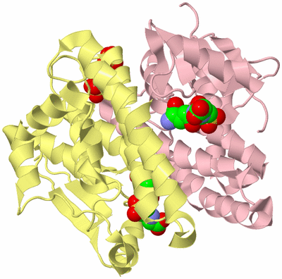 Image Biological Unit 2