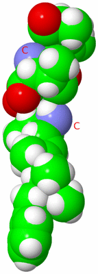 Image NMR Structure - model 1