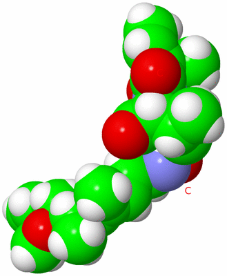 Image NMR Structure - model 1