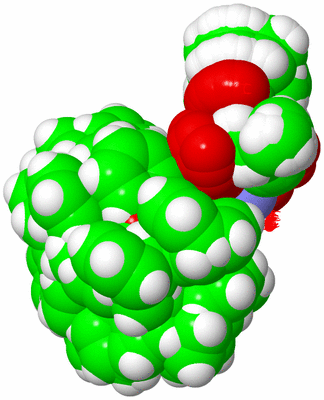 Image NMR Structure - all models