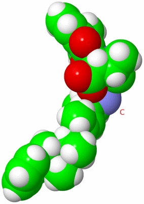 Image NMR Structure - model 1