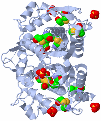 Image Biological Unit 1