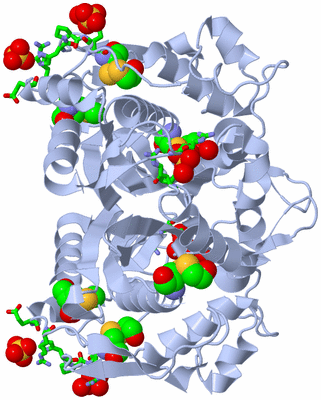 Image Biol. Unit 1 - sites