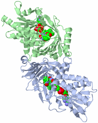 Image Asym./Biol. Unit