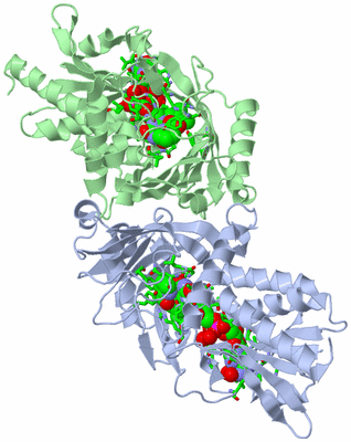 Image Asym./Biol. Unit - sites