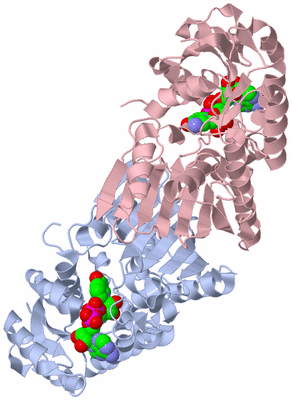 Image Biological Unit 1