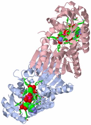 Image Biol. Unit 1 - sites