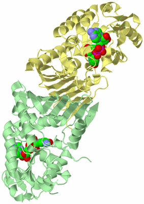 Image Biological Unit 2