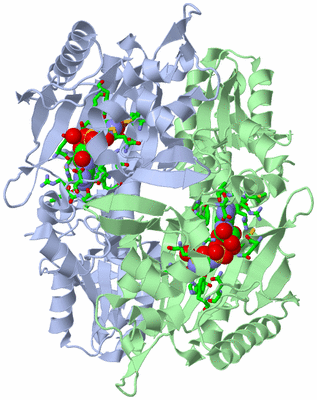 Image Biol. Unit 1 - sites