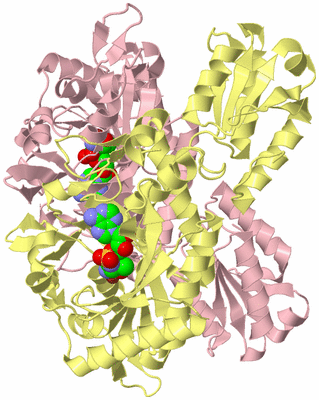 Image Biological Unit 2