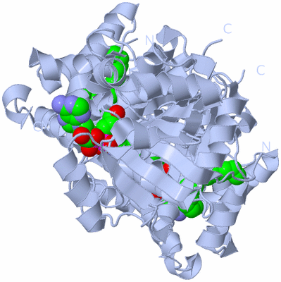 Image Biological Unit 1