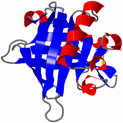 Image Asymmetric Unit