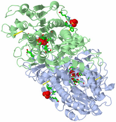 Image Asym./Biol. Unit - sites