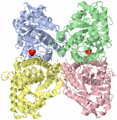 Image Asym./Biol. Unit