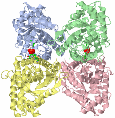 Image Asym./Biol. Unit - sites