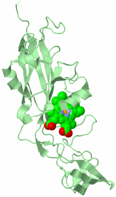 Image Biological Unit 2