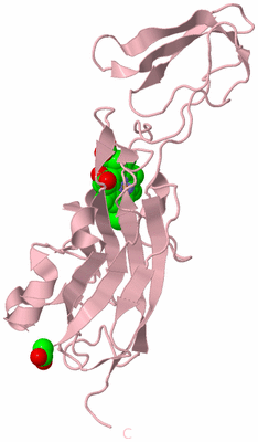 Image Biological Unit 3