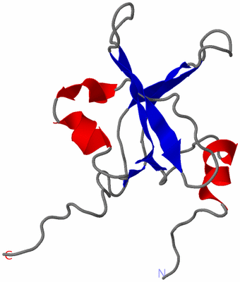 Image NMR Structure - model 1