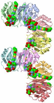 Image Asymmetric Unit