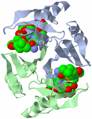 Image Biological Unit 1