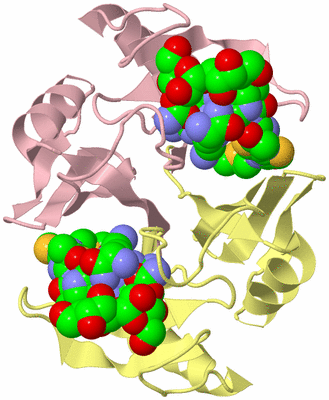 Image Biological Unit 2