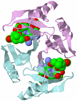 Image Biological Unit 3