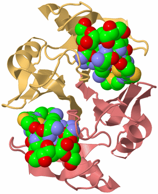 Image Biological Unit 4
