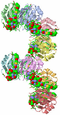 Image Asym. Unit - sites