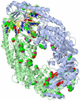 Image Asym./Biol. Unit