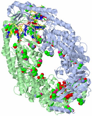 Image Asym./Biol. Unit - sites