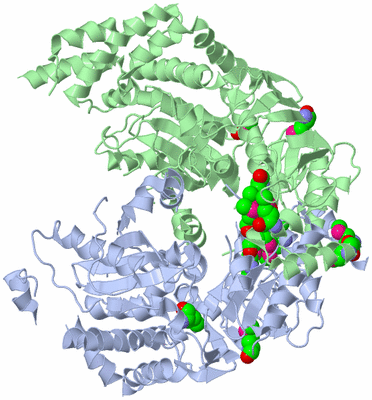 Image Asym./Biol. Unit