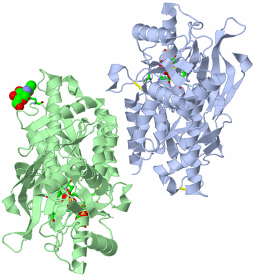 Image Asym./Biol. Unit - sites