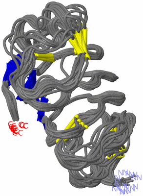 Image NMR Structure - all models