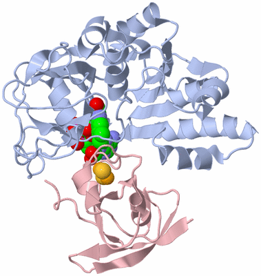 Image Biological Unit 1