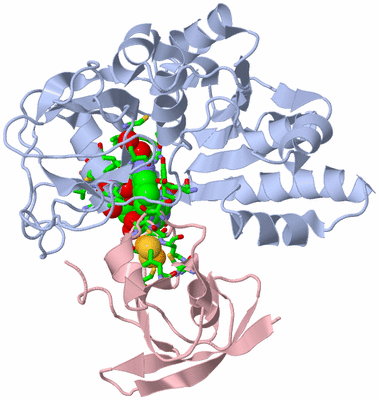 Image Biol. Unit 1 - sites