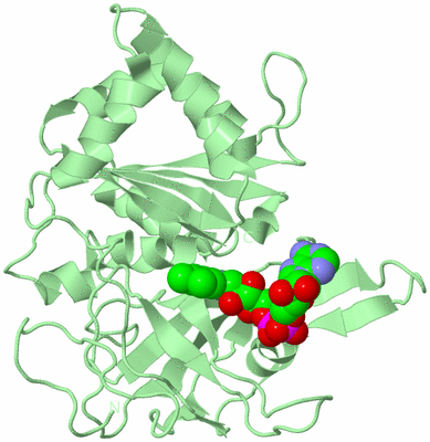 Image Biological Unit 2