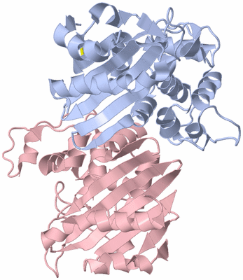 Image Biological Unit 1