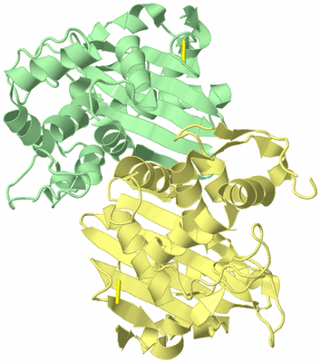 Image Biological Unit 2