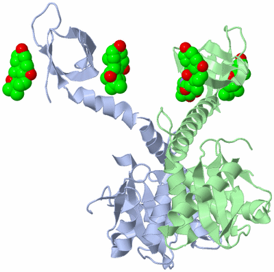 Image Biological Unit 1