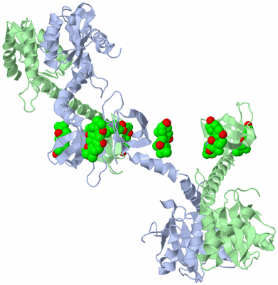 Image Biological Unit 10