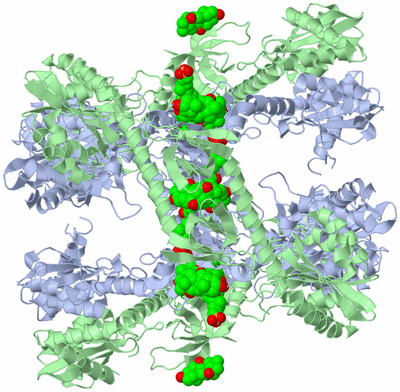 Image Biological Unit 2
