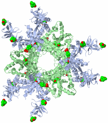 Image Biological Unit 3