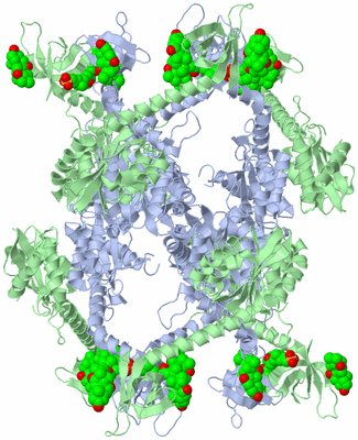 Image Biological Unit 4