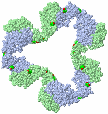 Image Biological Unit 5