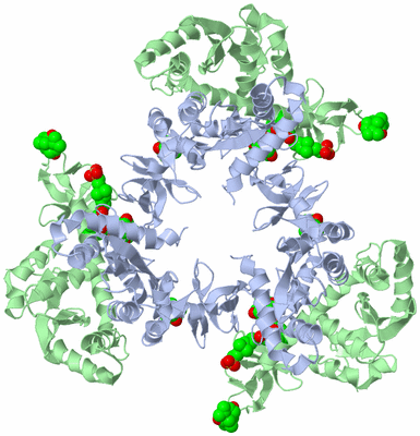 Image Biological Unit 6