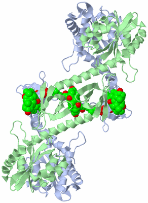 Image Biological Unit 8