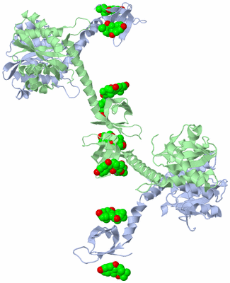 Image Biological Unit 9