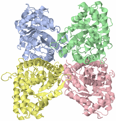 Image Asym./Biol. Unit